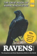 Ravens for Kids