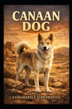 Canaan Dog