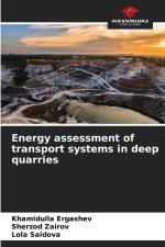 Energy assessment of transport systems in deep quarries