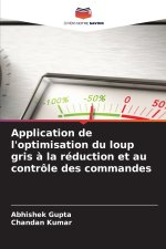 Application de l'optimisation du loup gris à la réduction et au contrôle des commandes