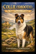 Collie (Smooth)