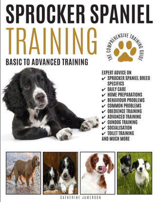 SPROCKER SPANIEL TRAINING