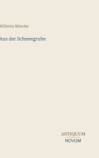 Aus der Schneegrube
