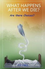 What Happens After we die? Are there choices?