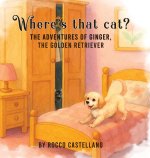 Where's that cat?