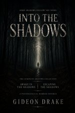 Into The Shadows