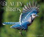 Beauty of Birds 2027 5.4 X 6.2 Box Calendar