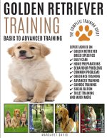 GOLDEN RETRIEVER TRAINING