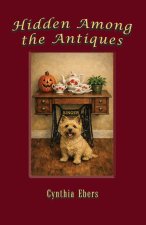 Hidden Among the Antiques