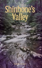 Shinbone's Valley