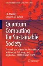 Quantum Computing for Sustainable Society
