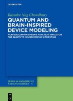 Quantum and Brain-Inspired Device Modeling
