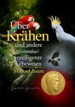 Über Krähen und andere (scheinbar) intelligente Lebewesen