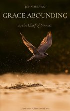 Grace Abounding to the Chief of Sinners