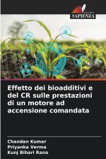 Effetto dei bioadditivi e del CR sulle prestazioni di un motore ad accensione comandata