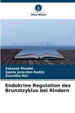 Endokrine Regulation des Brunstzyklus bei Rindern