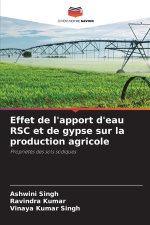 Effet de l'apport d'eau RSC et de gypse sur la production agricole