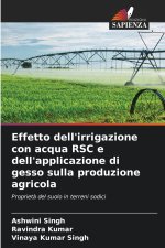 Effetto dell'irrigazione con acqua RSC e dell'applicazione di gesso sulla produzione agricola