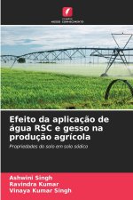 Efeito da aplicação de água RSC e gesso na produção agrícola