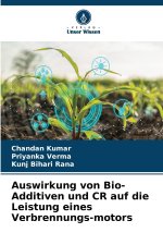 Auswirkung von Bio-Additiven und CR auf die Leistung eines Verbrennungs-motors