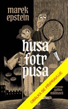 Husa fotr pusa