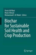 Biochar for Sustainable Soil Health and Crop Production