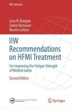 IIW Recommendations on HFMI Treatment