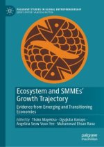 Ecosystem and SMMEs' Growth Trajectory