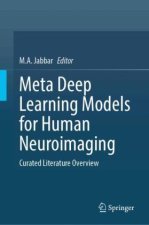 Meta Deep Learning Models for Human Neuroimaging