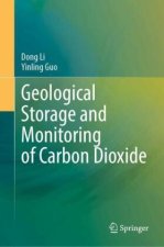 Geological Storage and Monitoring of Carbon Dioxide