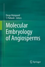 Molecular Embryology of Angiosperms