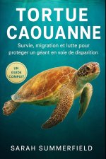 Tortue caouanne