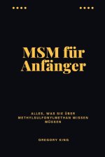 MSM für Anfänger
