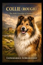 Collie (Rough)