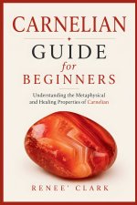 Carnelian Guide for Beginners