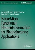 Nano/Micro Functional Elements Formation for Bioengineering Applications