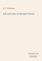 Life and Labor in the Spirit World