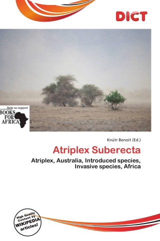 Atriplex Suberecta