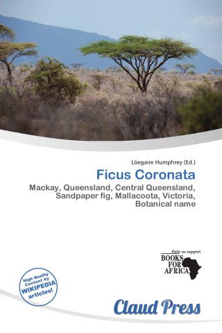 Ficus Coronata