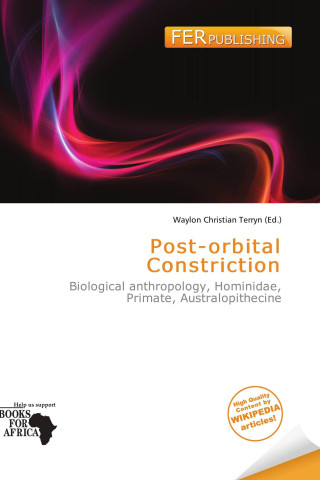 Post-orbital Constriction