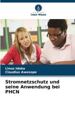 Stromnetzschutz und seine Anwendung bei PHCN