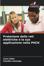 Protezione delle reti elettriche e la sua applicazione nella PHCN