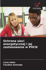 Ochrona sieci energetycznej i jej zastosowanie w PHCN