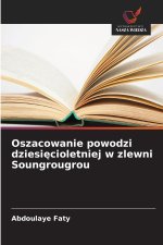 Oszacowanie powodzi dziesięcioletniej w zlewni Soungrougrou