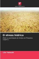 O stress hídrico