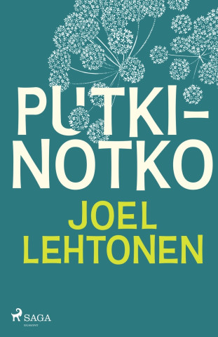 Putkinotko
