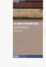 lingua friulana oggi. Diffusione, opinioni e atteggiamenti sociali