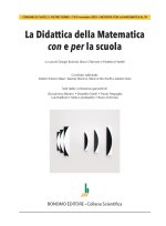 didattica della matematica con e per la scuola