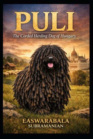 Puli