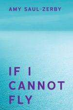 If I Cannot Fly